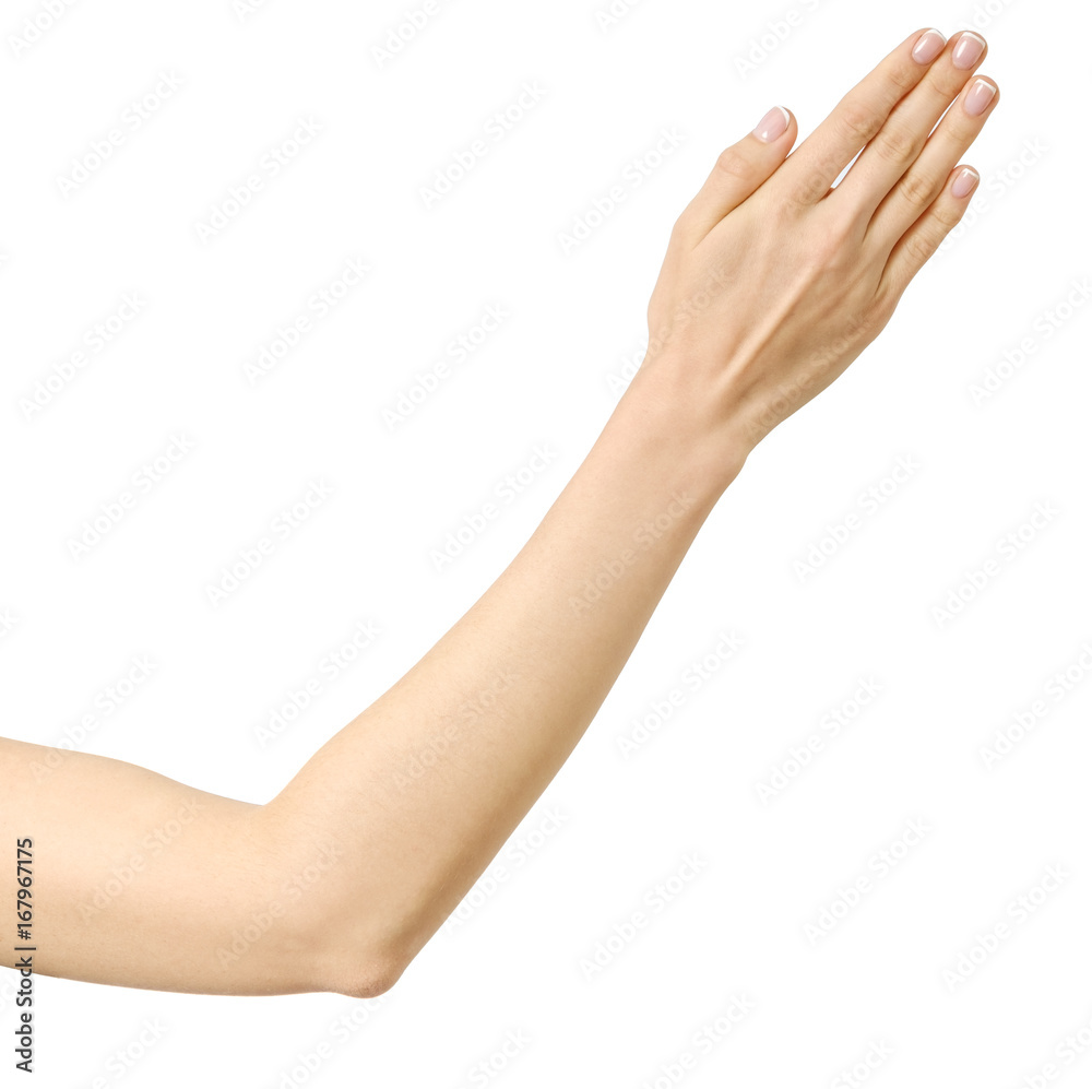 Stretched hand of woman isolated