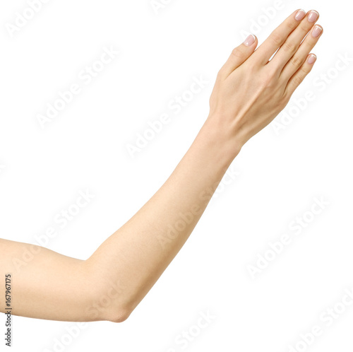 Stretched hand of woman isolated