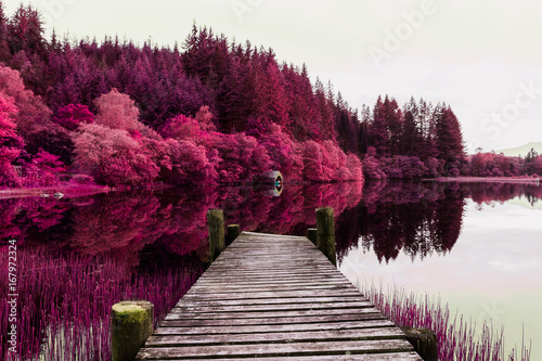 Fantasy Purple Trees Loch Ard