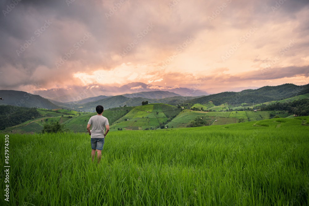 young man enjoying sunset sky  in rice field