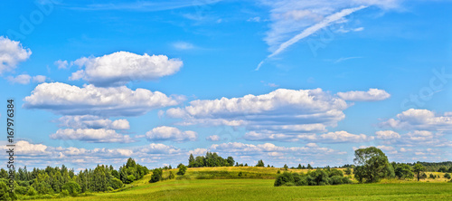Panorama of country summer landscape. European Area