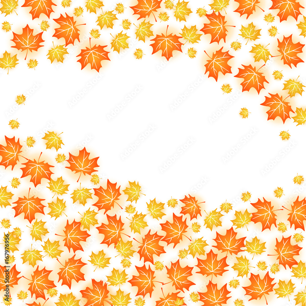 Autumn background illustration. Vector design of maple leaf fall on white Autumn background illustration. Vector design of maple leaf fall on white