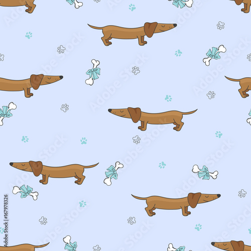 Vector seamless cute cartoon dachshund dog pattern.