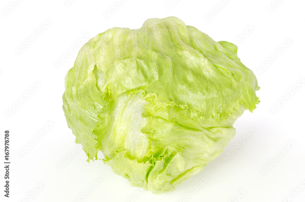 Iceberg lettuce front view on white background. Also crisphead, a fresh light green salad head. Sometimes called cabbage lettuce. Variety of Lactuca sativa. Macro food photo close up. Iceberg lettuce front view on white background. Also crisphead, a fresh light green salad head. Sometimes called cabbage lettuce. Variety of Lactuca sativa. Macro food photo close up.