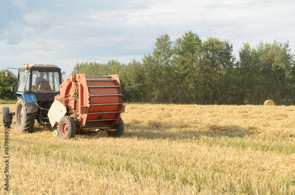 Obraz premium Special machines for harvesting form round bales of hay.