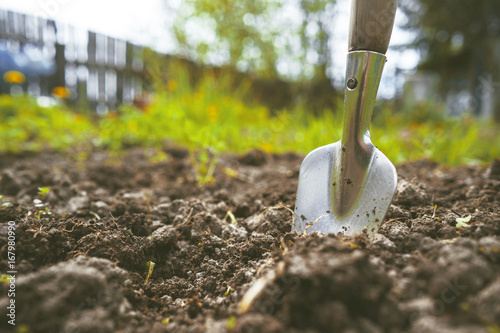 Scapula on the background of fertile soil. Place for the text. The concept of agriculture. Metal garden tools