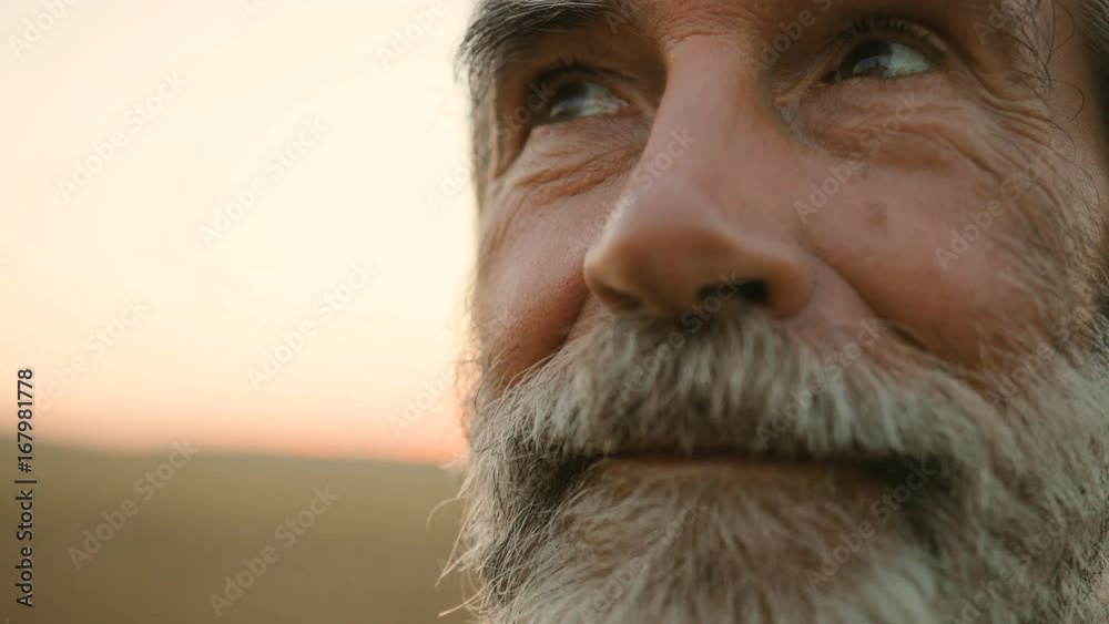 Close up portrait of senior man with beard looking to the camera in the golden field background.