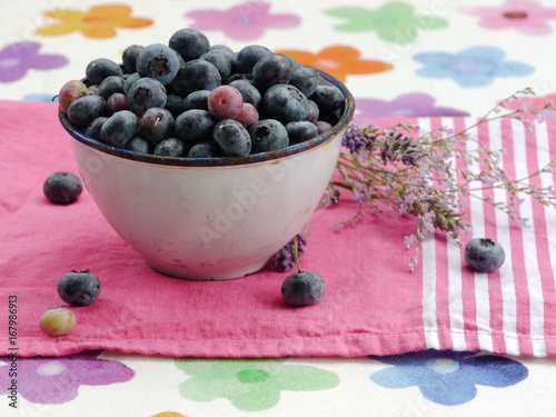 Blaubeeren photo