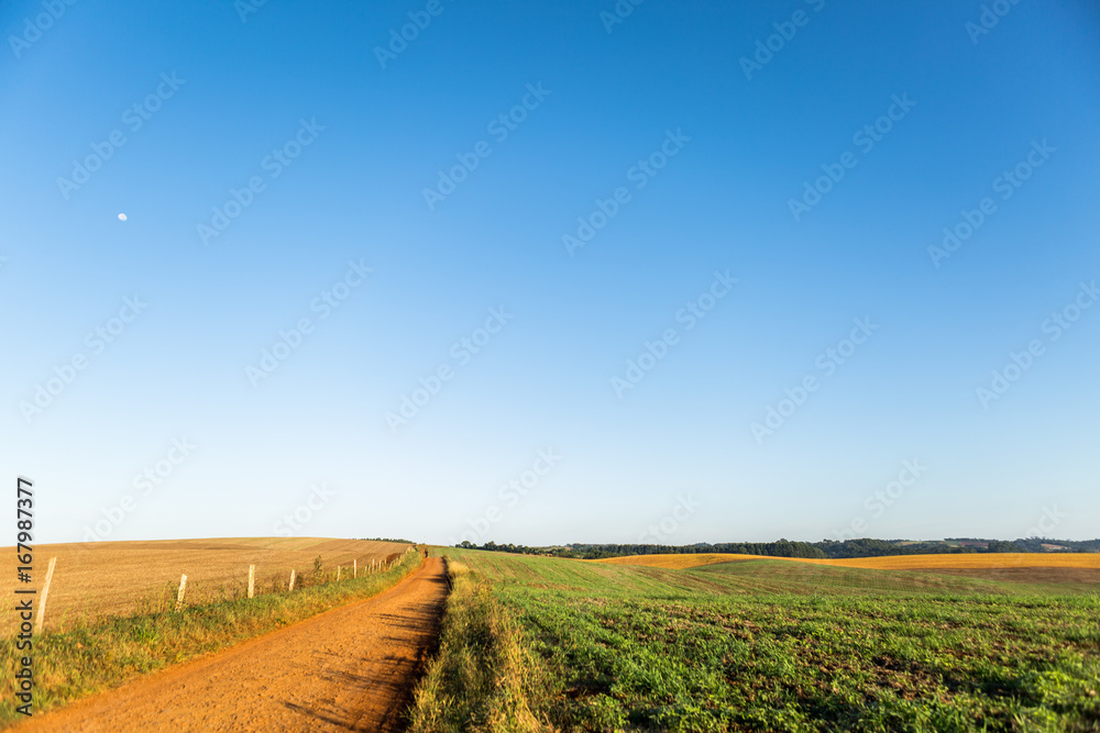 Obraz premium Agricultura - Sul do Brasil