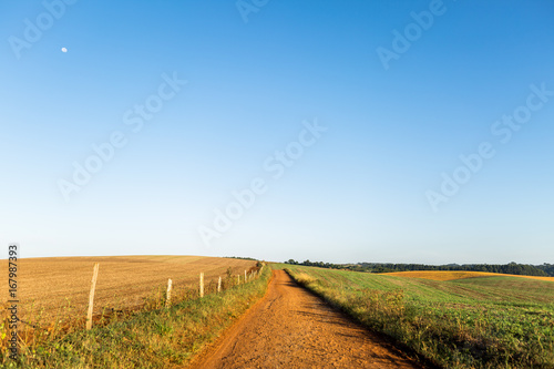 Agricultura - Sul do Brasil