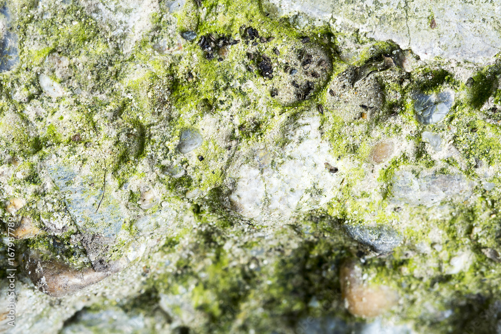 Obraz premium Very old stone texture 