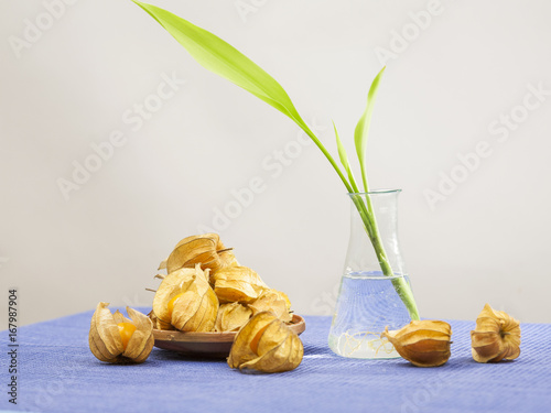 Physalis Peruviana fruits in a bsket and bamboo small plant in a transparent vase on a blue table cloth
 photo