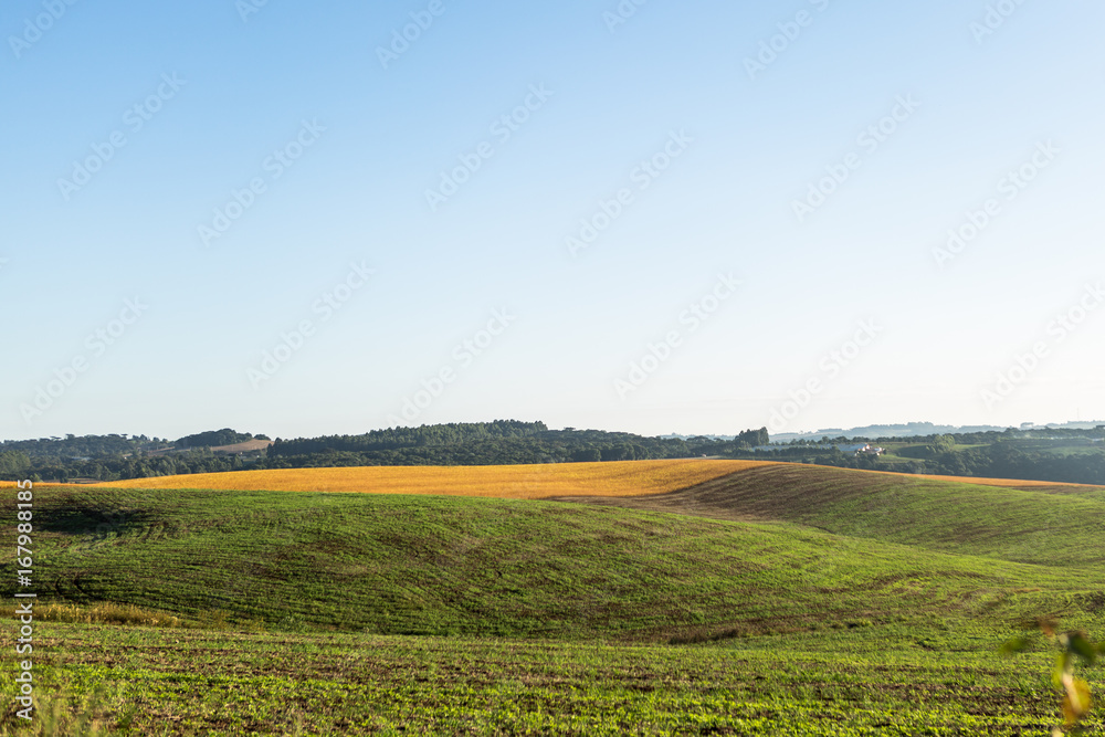 Agricultura - Sul do Brasil