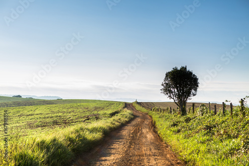 Agricultura - Sul do Brasil