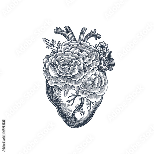 Tattoo anatomy vintage illustration. Floral romantic anatomical heart. Vector illustration