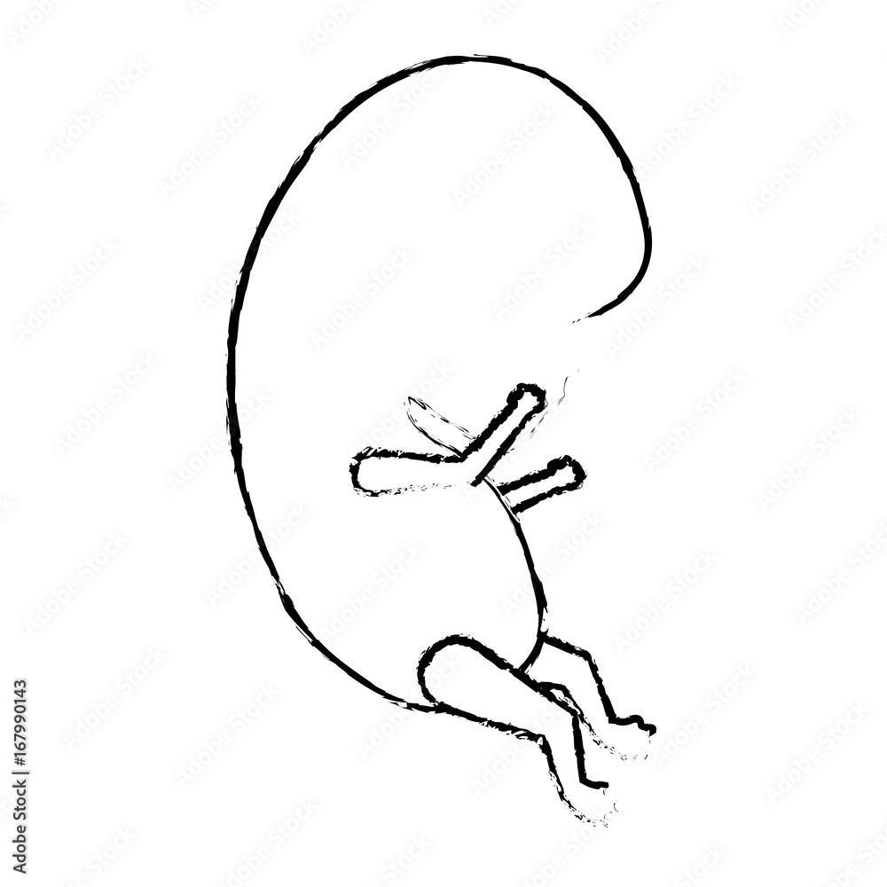 Fototapeta premium monochrome blurred silhouette of side view fetal growth