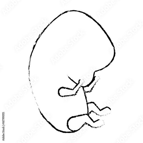 monochrome blurred silhouette of side view fetal growth in the beginning