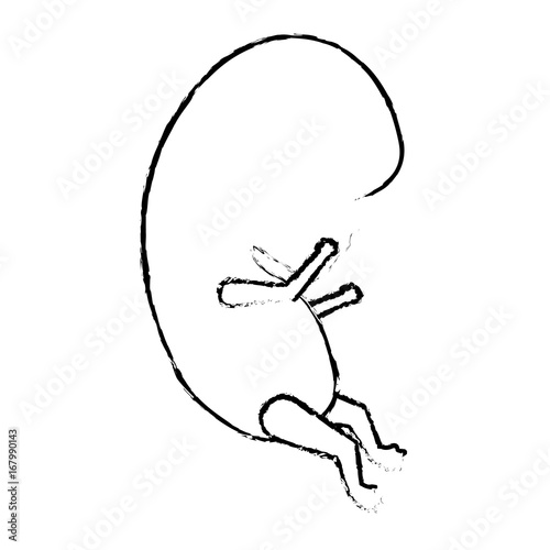 monochrome blurred silhouette of side view fetal growth