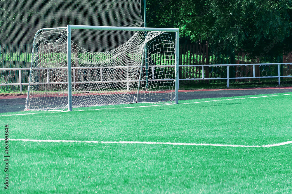 Fototapeta premium Gate on a football field with a green lawn.