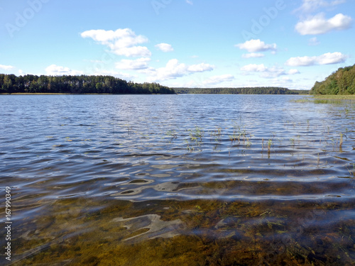 View of the lake in the sunny day © Leoco