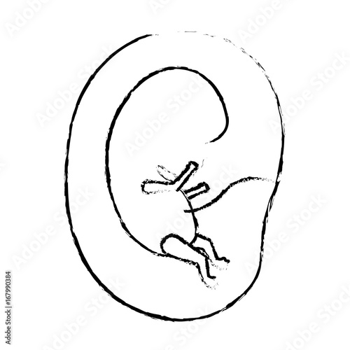 monochrome blurred silhouette of side view fetus human growth in placenta