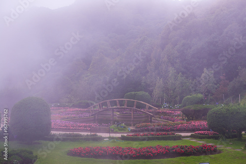 Park with mist in Doi Inthanon national park photo