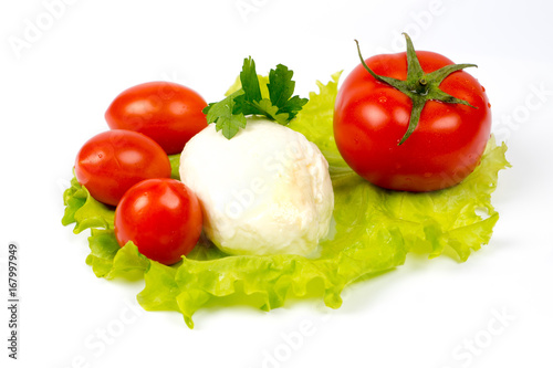 mozzarella and tomatoes on salad leaf