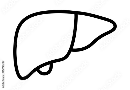 Human liver organ with gallbladder line art vector icon for medical apps and websites