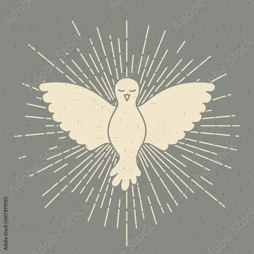 color background with silhouette front view pigeon peace symbol with linear brightness