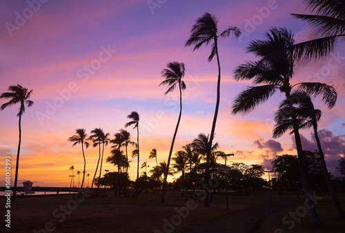 Colorful sunset at Waikiki beach in Hawaii, USA. Tropical beach at sunset with pal grove against the skies.