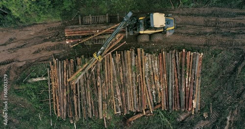A crawler machine is collecting timber in the woods