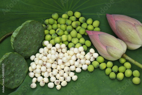 Lotus seeds