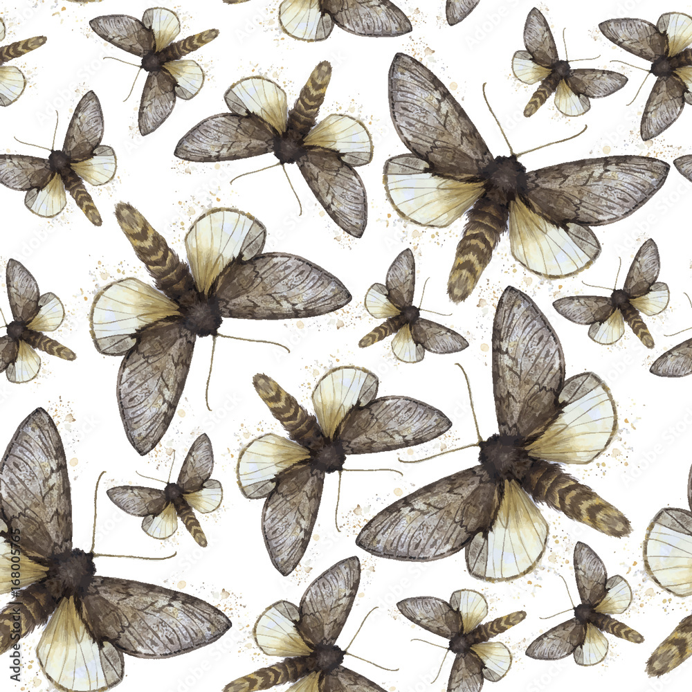 Watercolor drawing seamless background of shaggy butterfly moths, night butterfly, brown color, wings light with spots on white background for decor, prints Watercolor drawing seamless background of shaggy butterfly moths, night butterfly, brown color, wings light with spots on white background for decor, prints