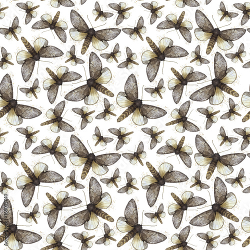 Watercolor drawing seamless background of shaggy butterfly moths, night butterfly, brown color, wings light with spots on white background for decor, prints © Zaam