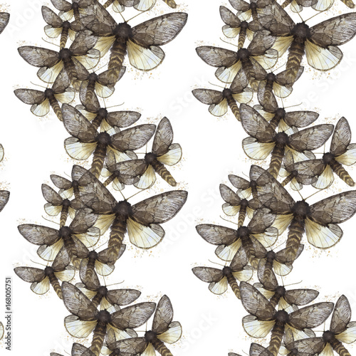 Watercolor drawing seamless background of shaggy butterfly moths, night butterfly, brown color, wings light with spots on white background for decor, prints