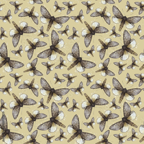 Watercolor drawing seamless background of fluffy butterfly bear, night butterfly, brown color, wings light with spots on a colored background for decoration, print