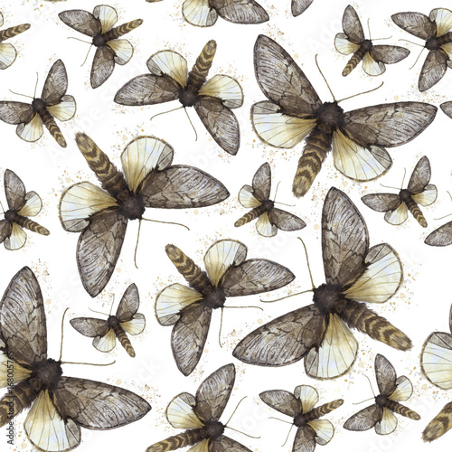 Watercolor drawing seamless background of shaggy butterfly moths, night butterfly, brown color, wings light with spots on white background for decor, prints