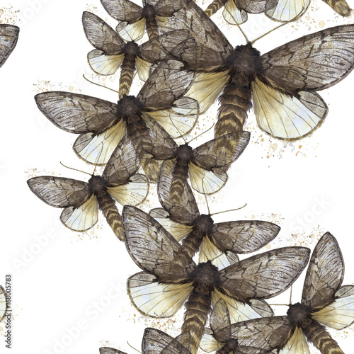 Watercolor drawing seamless background of shaggy butterfly moths, night butterfly, brown color, wings light with spots on white background for decor, prints