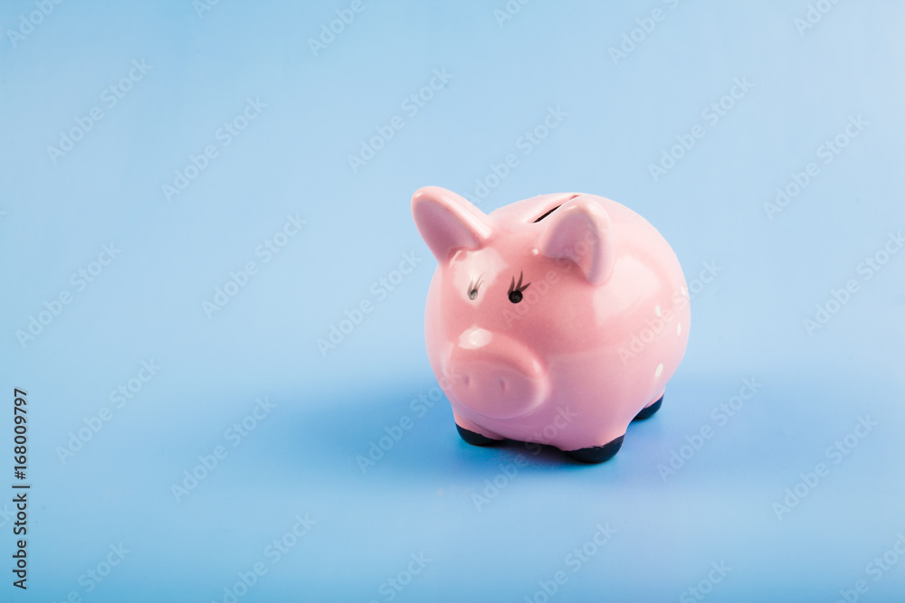 Pink pig and coins isolated