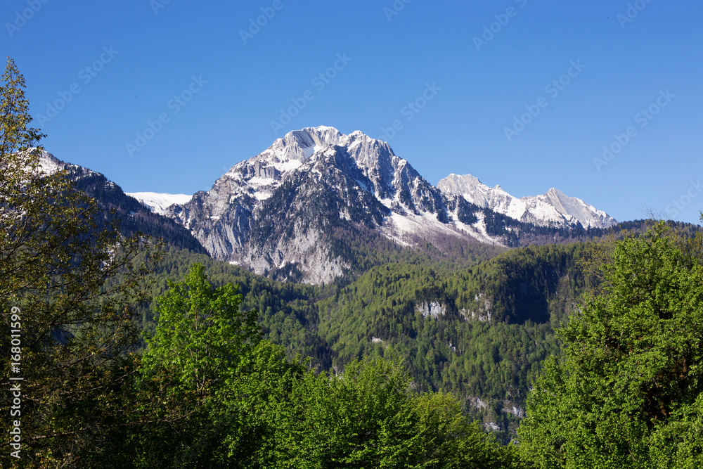 Mountain landscape with trees and alpine meadows.