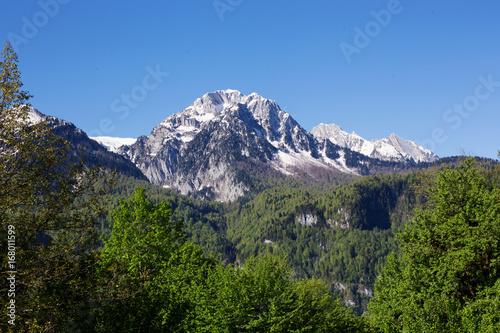 Mountain landscape with trees and alpine meadows.