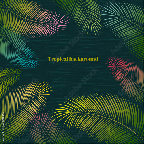 Tropical background. Palm leaves. A pattern of colored exotic leaves. Border. Frame.