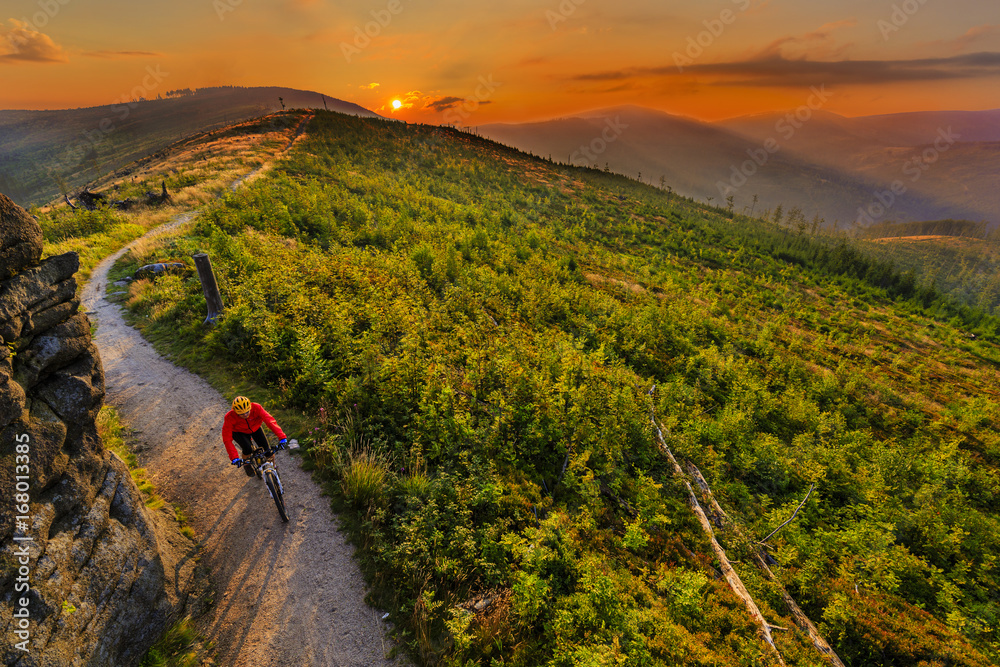 Fototapeta premium Mountain biking women riding on bike in summer mountains forest landscape. Woman cycling MTB flow trail track. Outdoor sport activity.