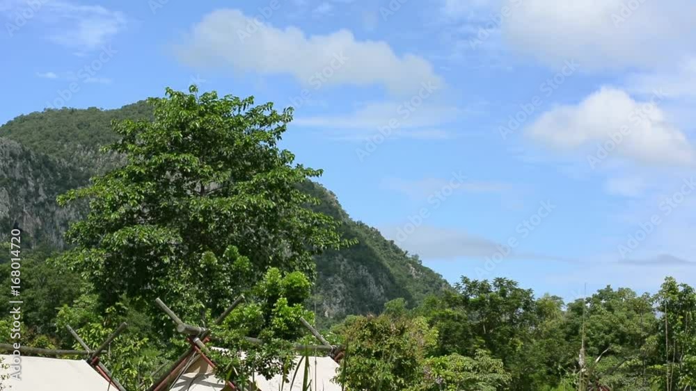 Summer landscape in mountains, trees and blue sky. No Sound. Summer landscape in mountains, trees and blue sky. No Sound.