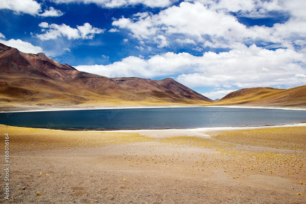 Miniques lagoon in the Atacama desert, Chile