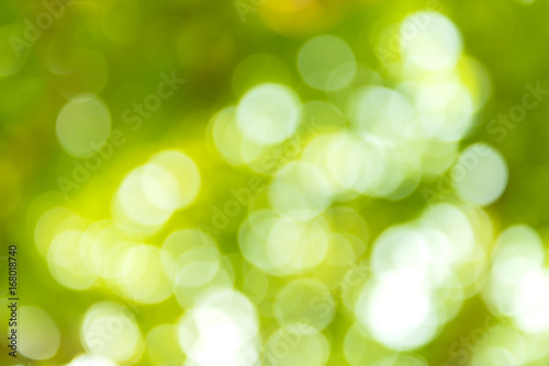 bokeh on nature ,abstract blur background