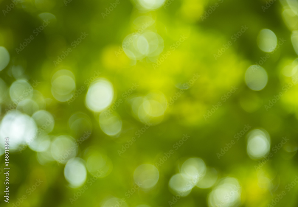 bokeh on nature ,abstract blur background