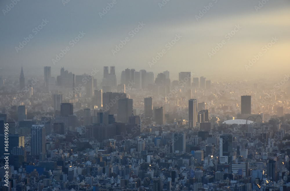 日本の東京都市景観・夕日に照らされ浮かび上がる高層ビル群（画面奥は、新宿の副都心）