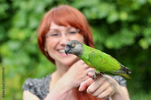 Senegal parrot with girl photo