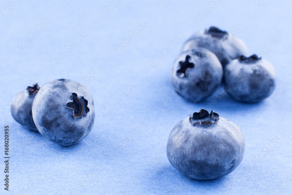 composition of blueberries on a uniform violet background composition of blueberries on a uniform violet background